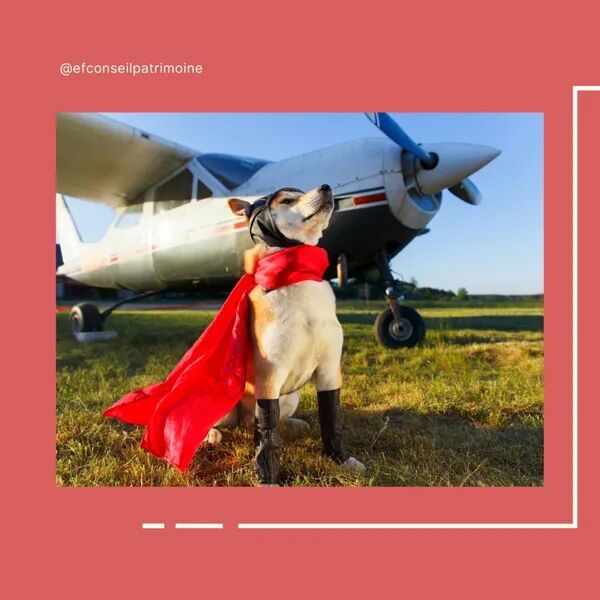 Pourquoi piloter son budget est essentiel ?